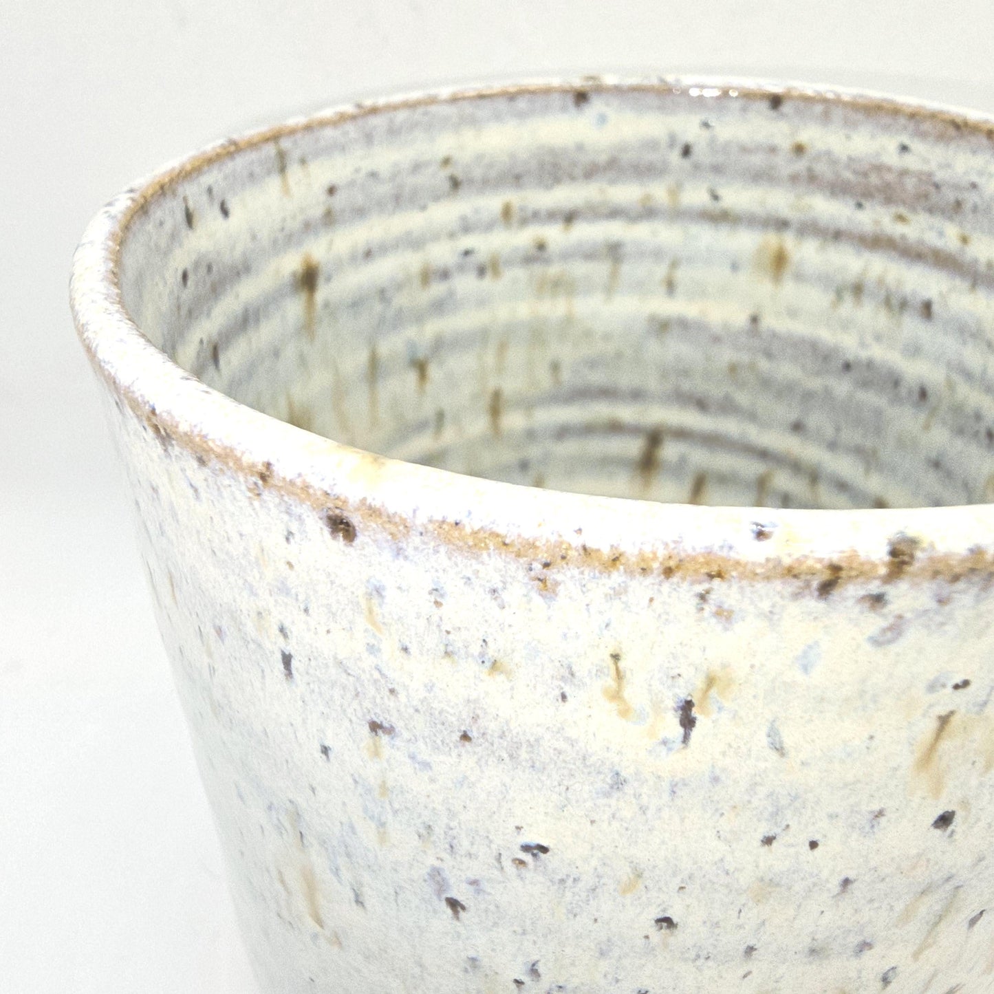 Handmade Ceramic 16oz Large Coffee/Tea Mug. Ammonite Sprig. Cream Speckled Glaze. Toasty Stoneware Pottery.