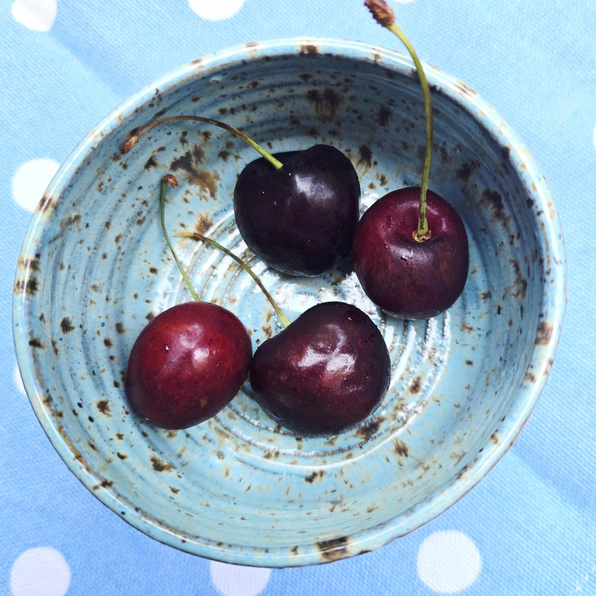 Handmade Ceramic Ramekin Dish Blue Speckled Glaze, Toasty Stoneware Pottery (5cm)
